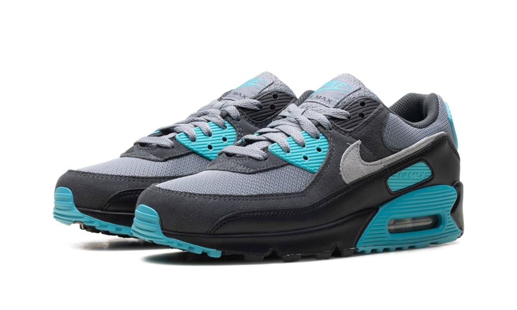 Nike Air Max 90 Dusty Cactus DM0029 013