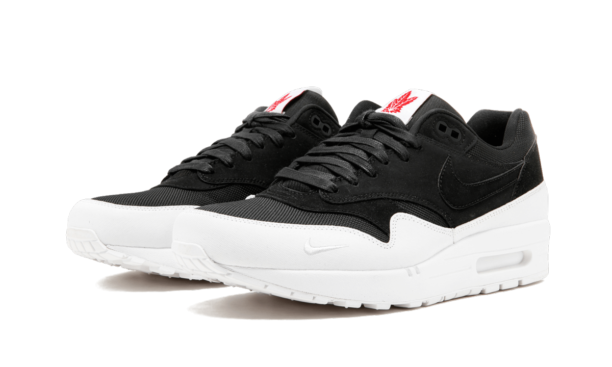 Nike Air Max 1 QS Toronto 704997 006