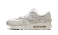 Nike Air Max 1 Museum Masterpiece FZ2149 100