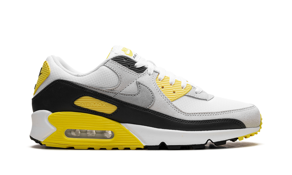 Nike Air Max 90 White Lightning DM0029 111