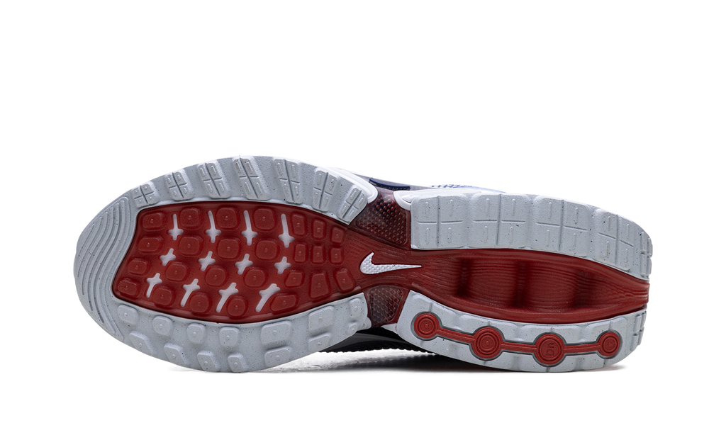 Nike Air Max Dn Team USA FV2250 100
