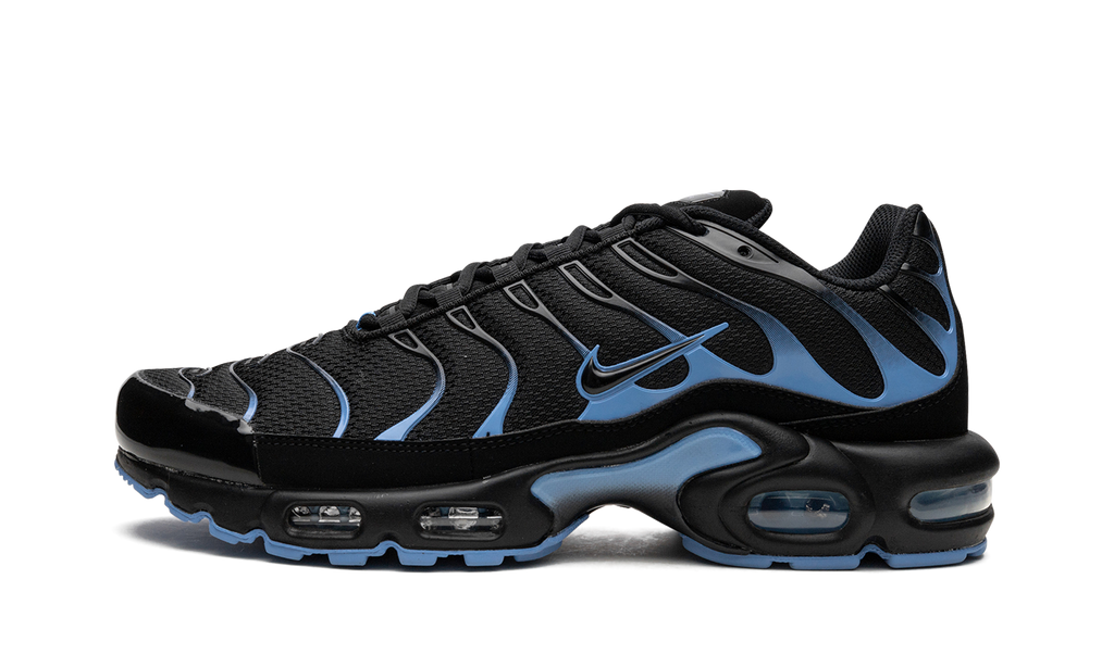 Nike Air Max Plus Black / University Blue DM0032 005