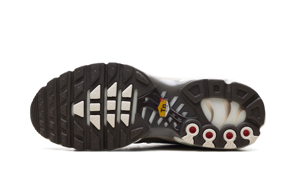Nike Air Max Plus Mink Brown DZ3671 200