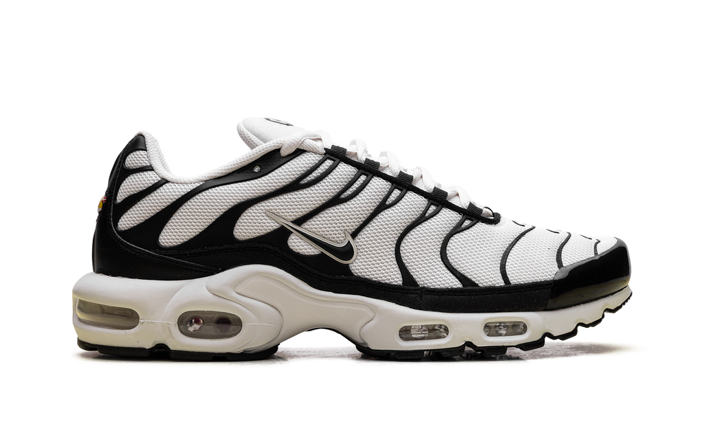 Nike Air Max Plus Panda FV6264 001