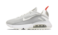 Nike AIR MAX 2090 WMNS Grey DJ3028 001