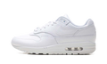 Nike Air Max 1 Premium White Snakeskin HV1211 100