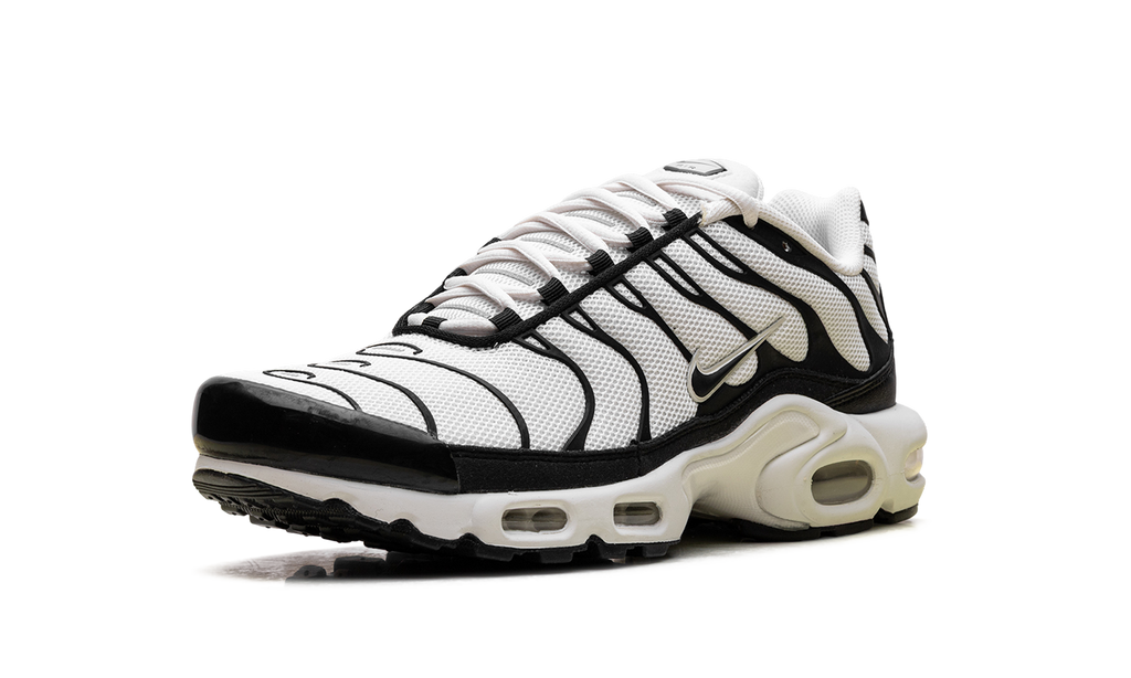 Nike Air Max Plus Panda FV6264 001