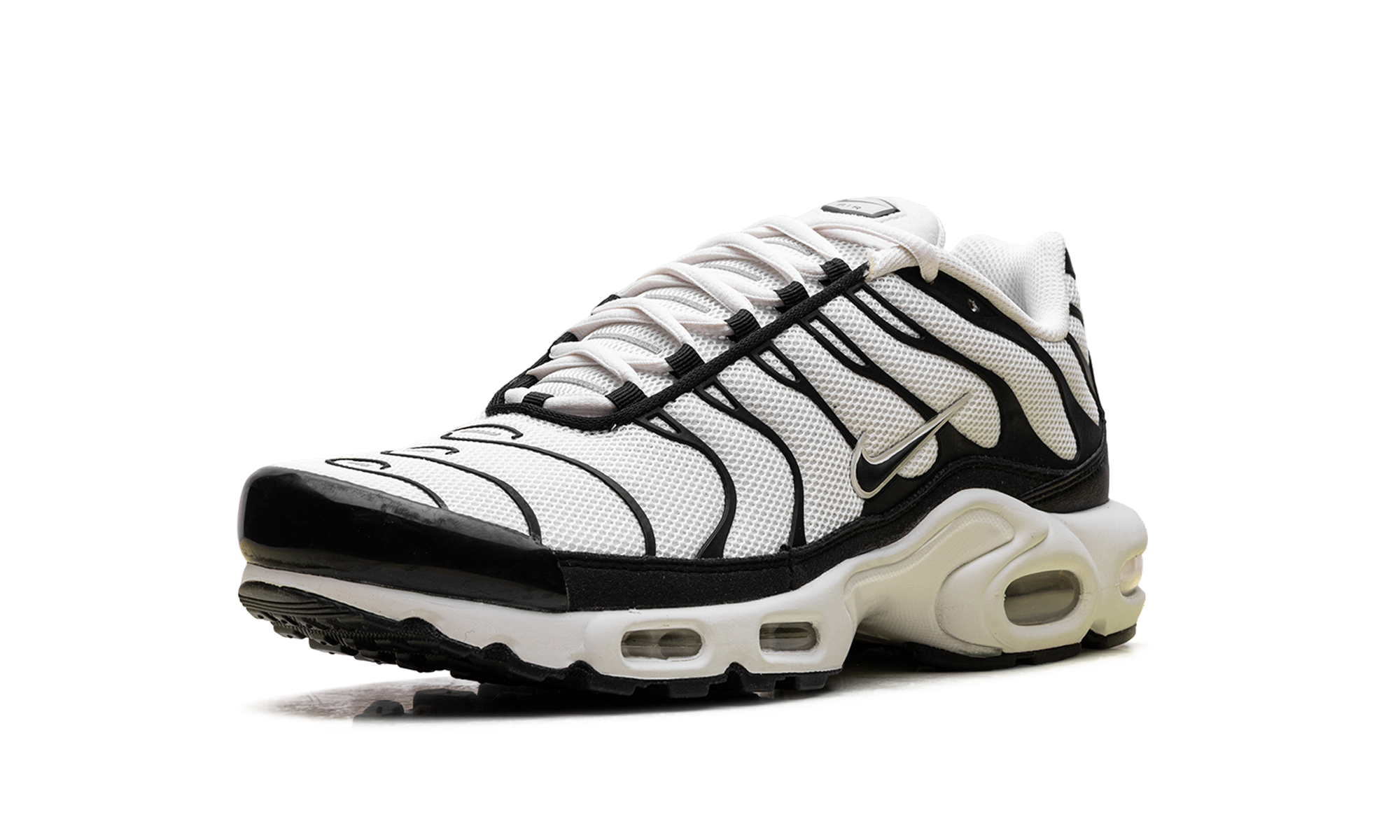 Nike Air Max Plus Panda FV6264 001