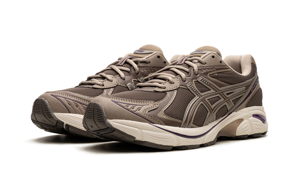 Asics GT 2160 Dark Taupe Purple 1203A320 251