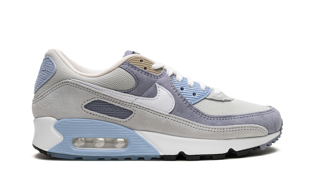 Nike Air Max 90 Ashen Slate DM0035 400