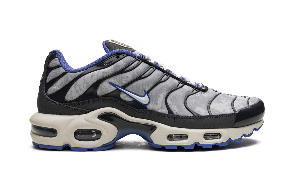 Nike Air Max Plus SE Social F.C. DQ3981 001
