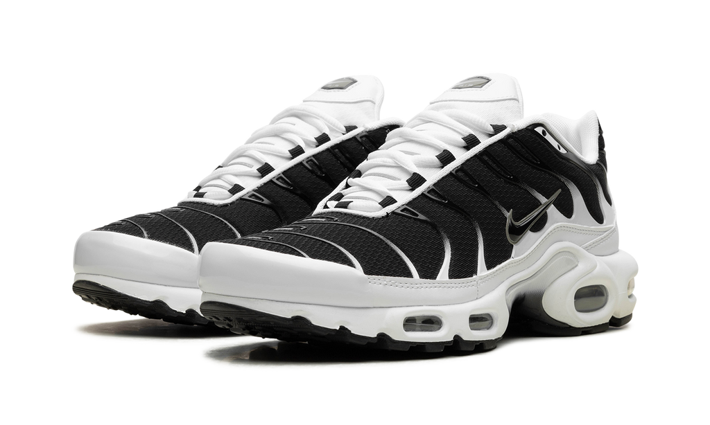 Nike Air Max Plus Black / White CT1094 102