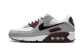 Nike Air Max 90 Dark Team Red' FN6958 101