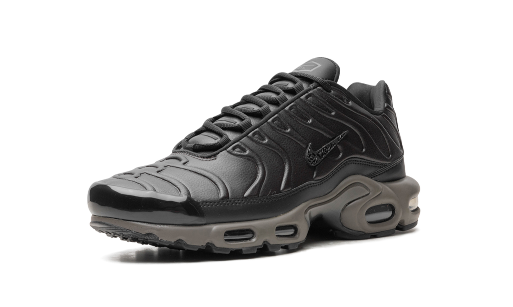 Nike Air Max Plus Black Tea / Petra Brown Black Tea / Petra Brown HJ4519 200