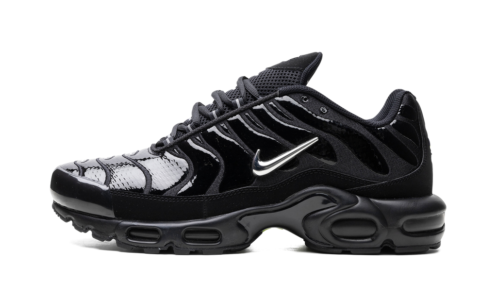 Nike Air Max Plus Metallic Black FJ2591 001