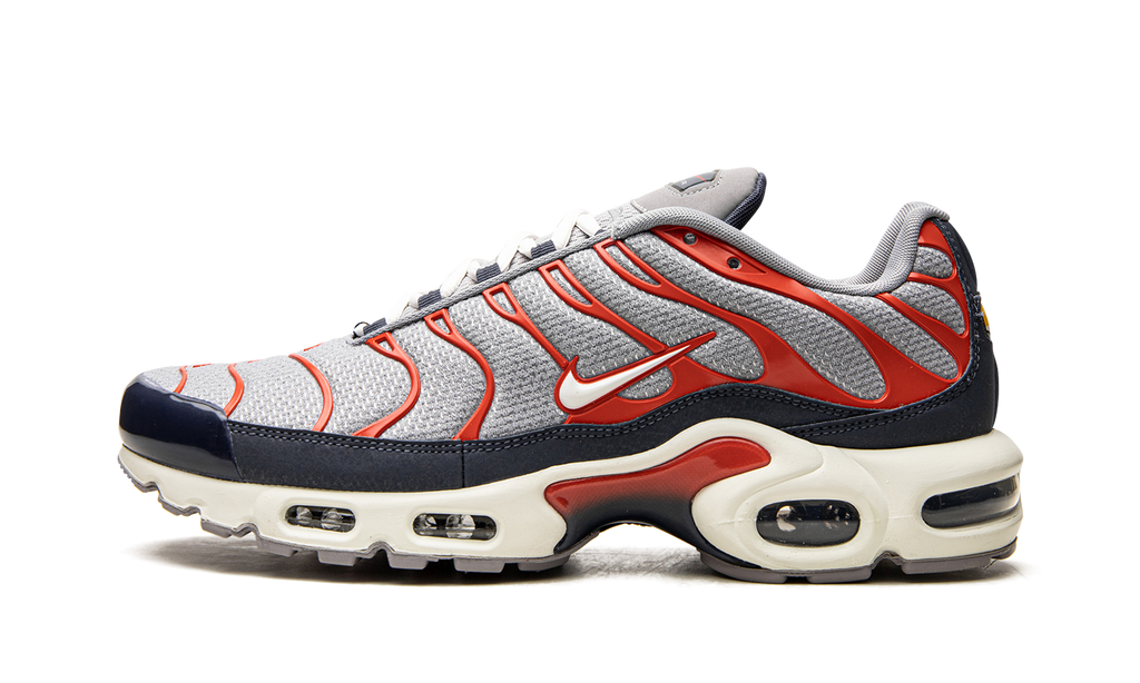 Nike Air Max Plus USA Grey DB0682 003