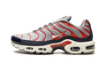 Nike Air Max Plus USA Grey DB0682 003