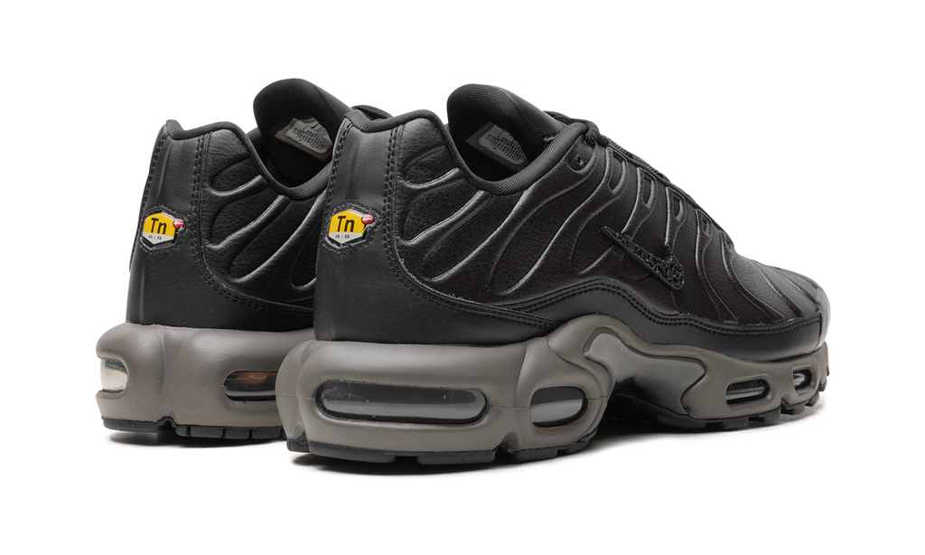 Nike Air Max Plus Black Tea / Petra Brown Black Tea / Petra Brown HJ4519 200