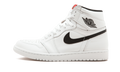 Air Jordan 1 Retro High OG Premium Essentials 555088 102