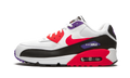 Nike Air Max 90 Essential AJ1285 106