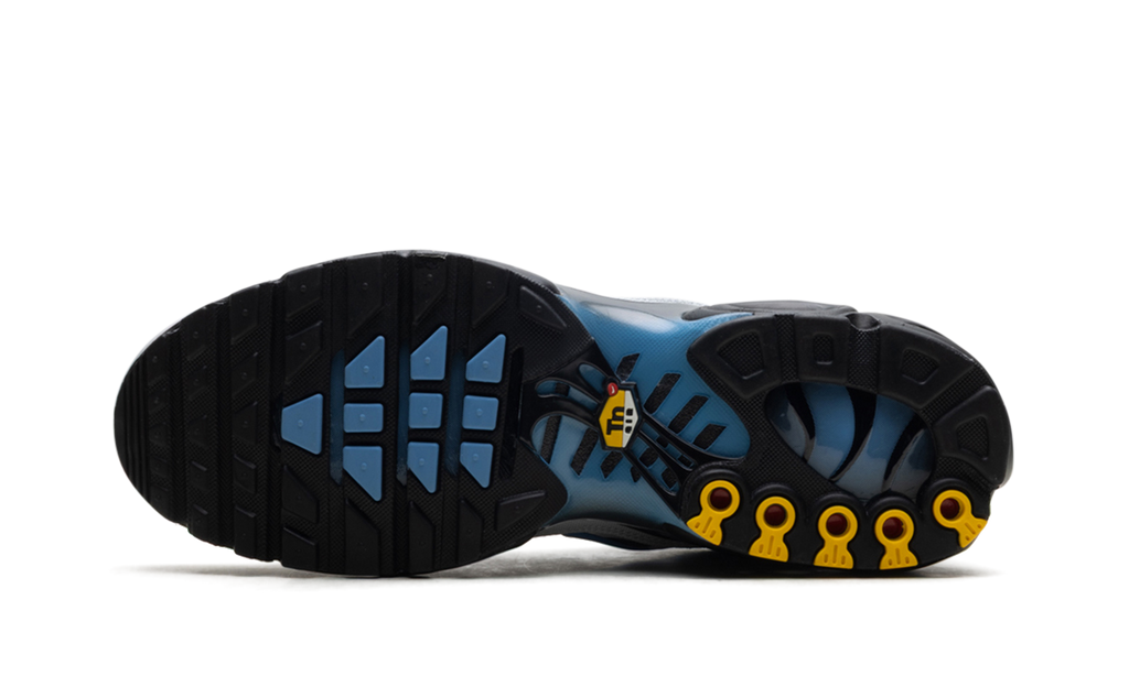 Nike Air Max Plus Grey University Blue Black DM0032 015