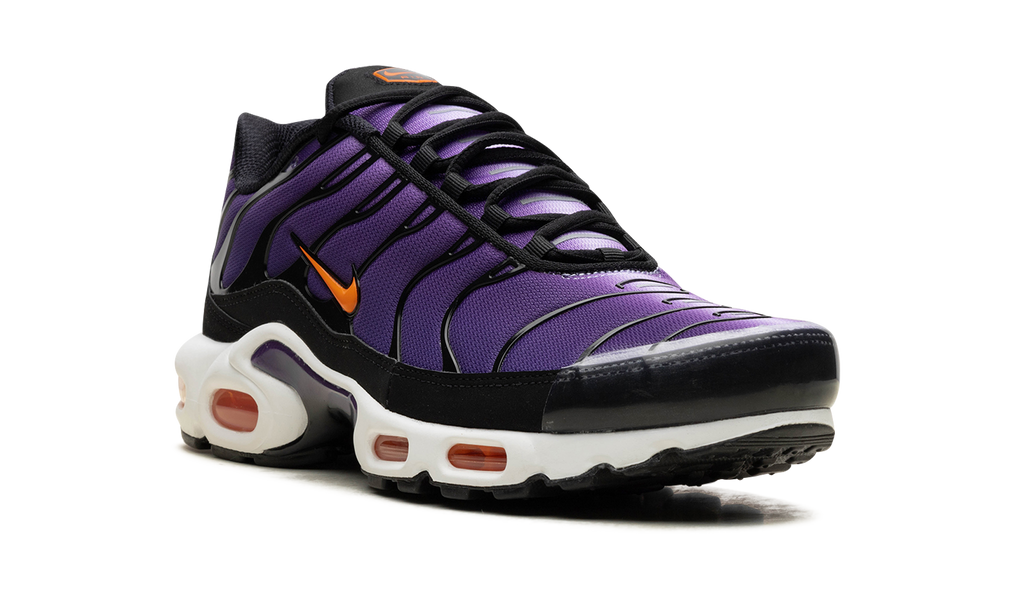 Nike Air Max Plus Voltage Purple DX0755 500