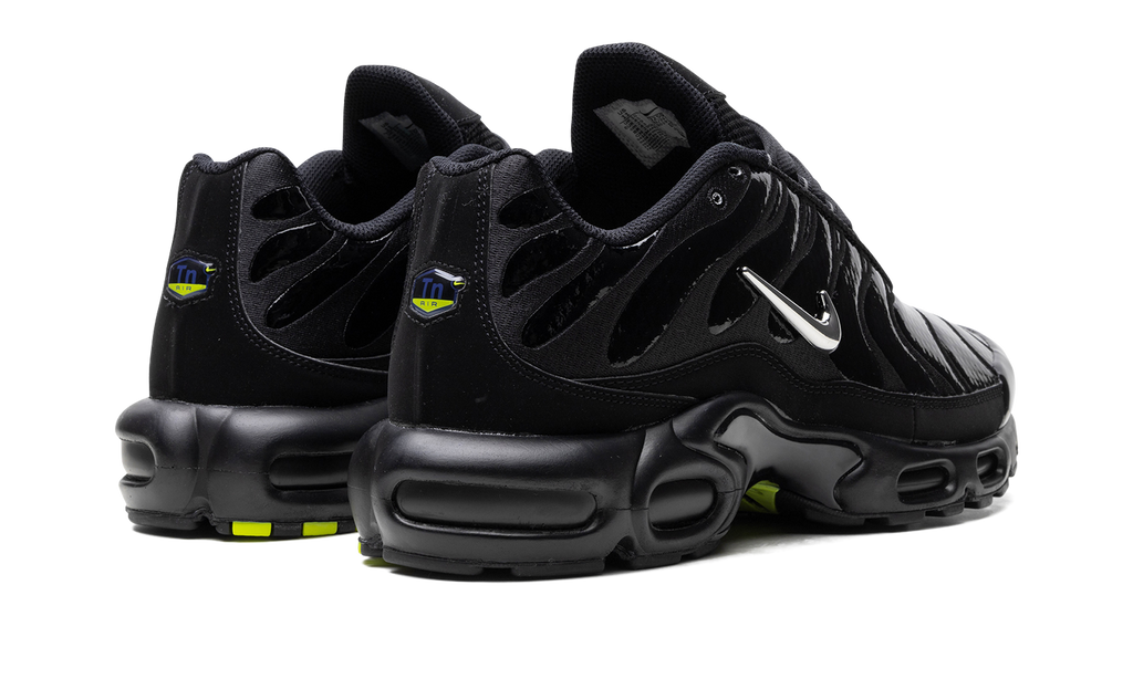 Nike Air Max Plus Metallic Black FJ2591 001