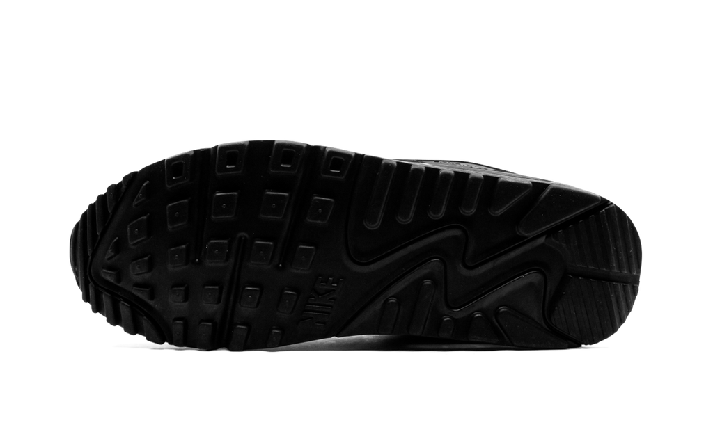 Nike Air Max 90 Iron Grey CN8490 002