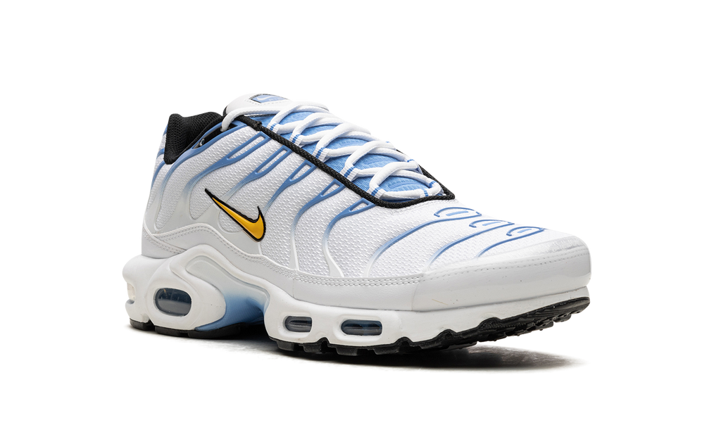 Nike Air Max Plus White University Blue DM0032 101