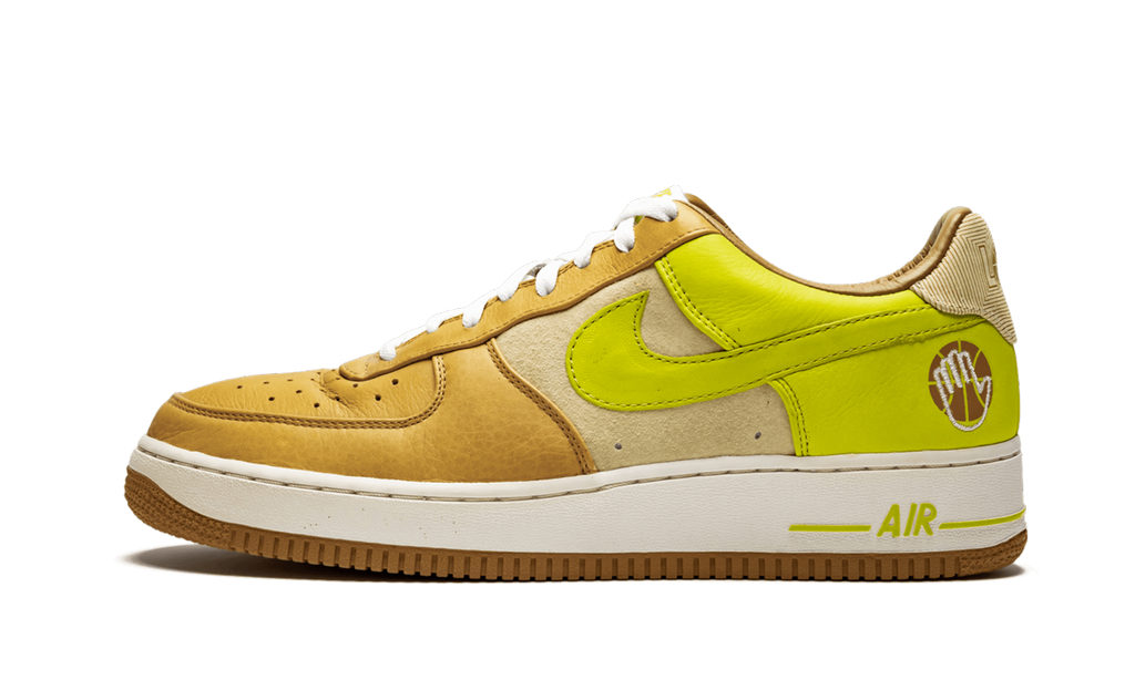 Nike Air Force 1 Premium '07 Bobbito 316892 731