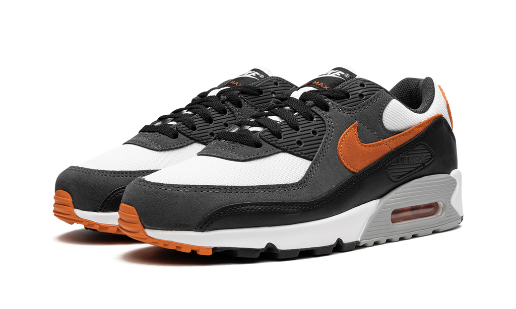 Nike Air Max 90 Starfish DM0029 101