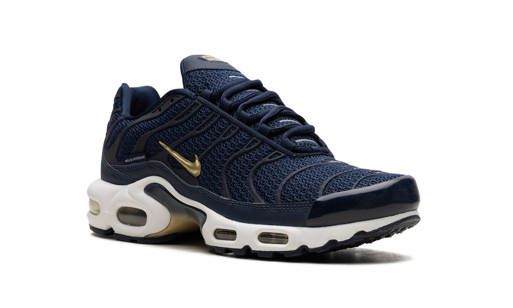 Nike Air Max Plus FFF fb3350 400