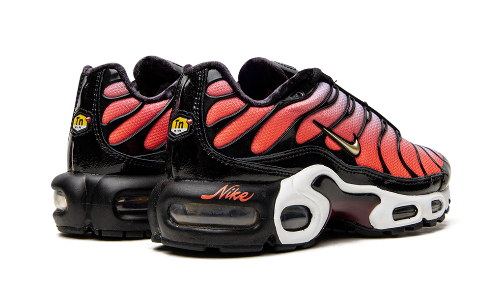 Nike AIR MAX PLUS MNS WMNS Sisterhood DO6115 500
