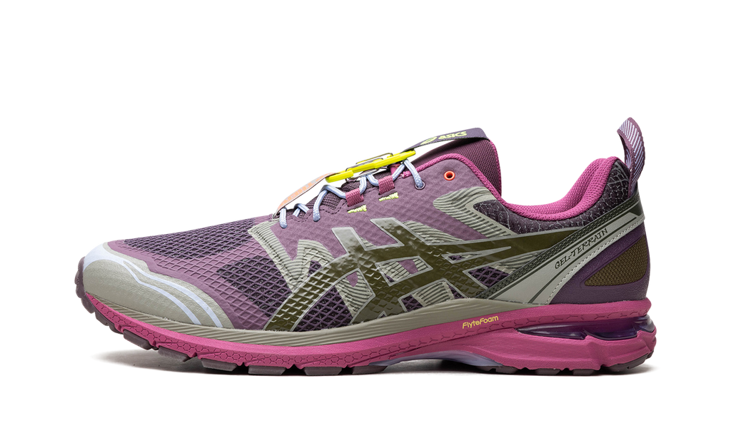 Asics GEL-Terrain Up There 1203A520 500