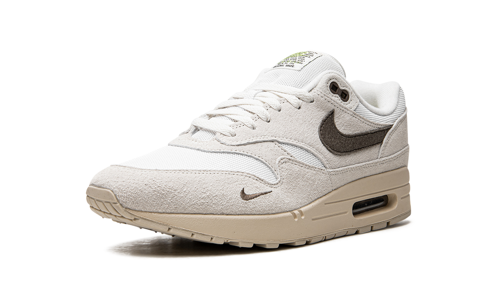 Nike Air Max 1 Sail Ironstone DZ4494 100