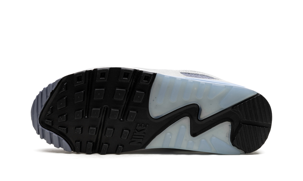 Nike Air Max 90 Ashen Slate DM0035 400