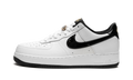 Nike Air Force 1 07 LV8 EMB World Champ DR9866 100