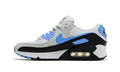 Nike Air Max 90 Wmns Royal Pulse DH8010 106