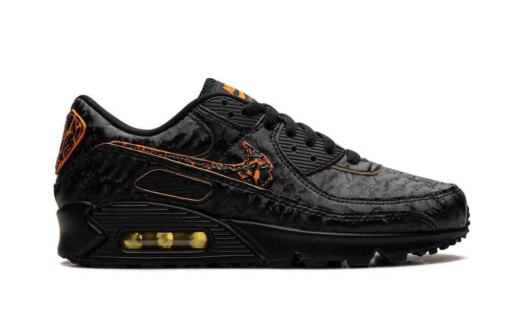 Nike Air Max 90 Volcano HF3248 001