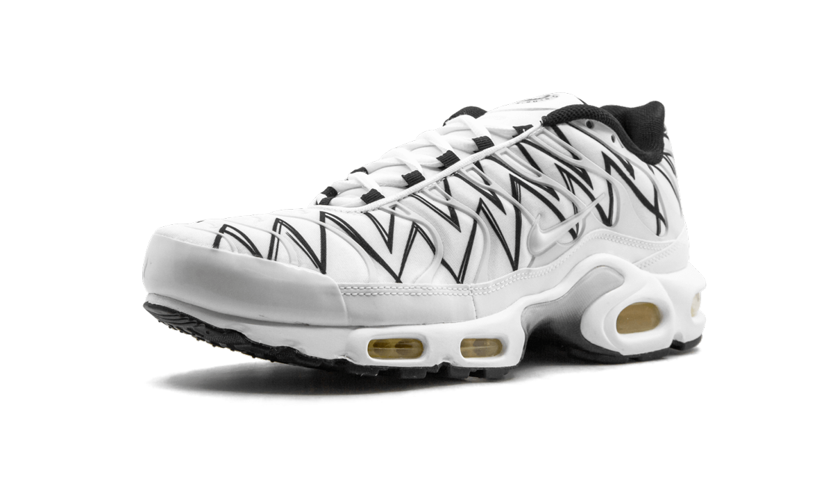 Nike Air Max Plus White Shark AJ6311 100