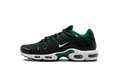 Nike Air Max Plus Malachite Green DM0032 009