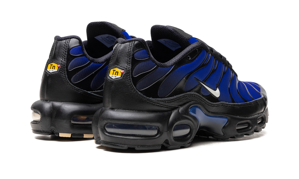 Nike AIR MAX PLUS Black FQ7331-001