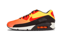 Nike Air Max 90 EM Sunset Pack 554719 887