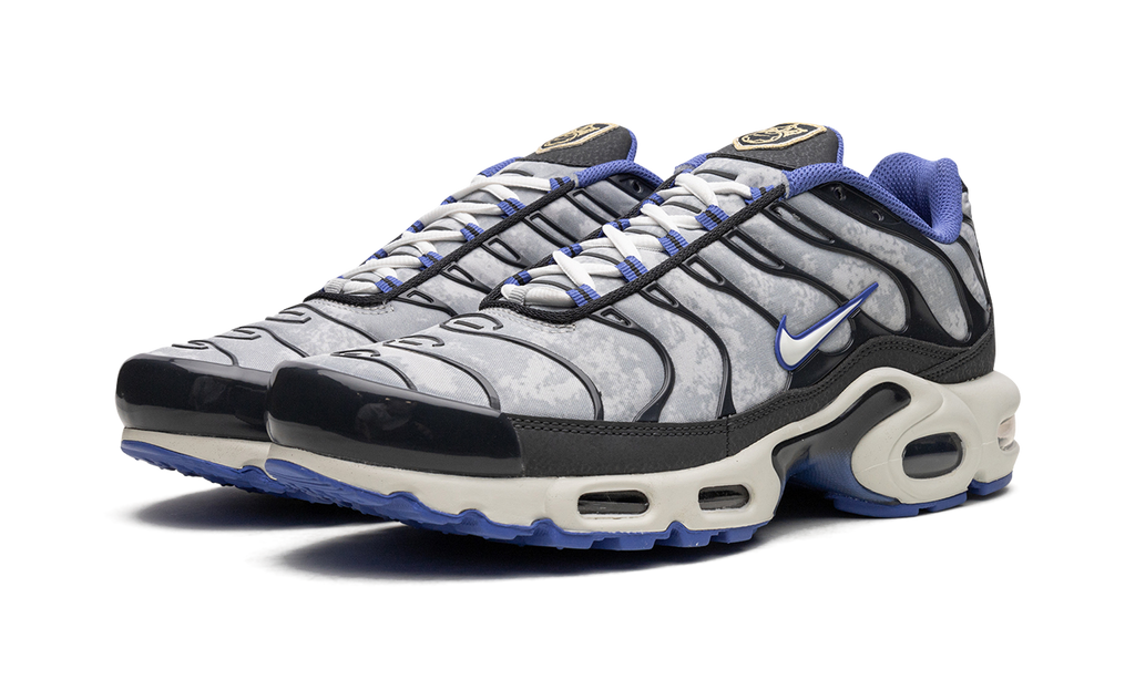 Nike Air Max Plus SE Social F.C. DQ3981 001