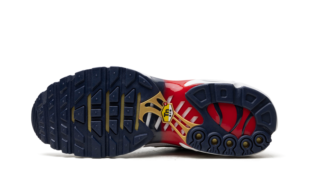 Nike Air Max Plus PSG FZ4776 100