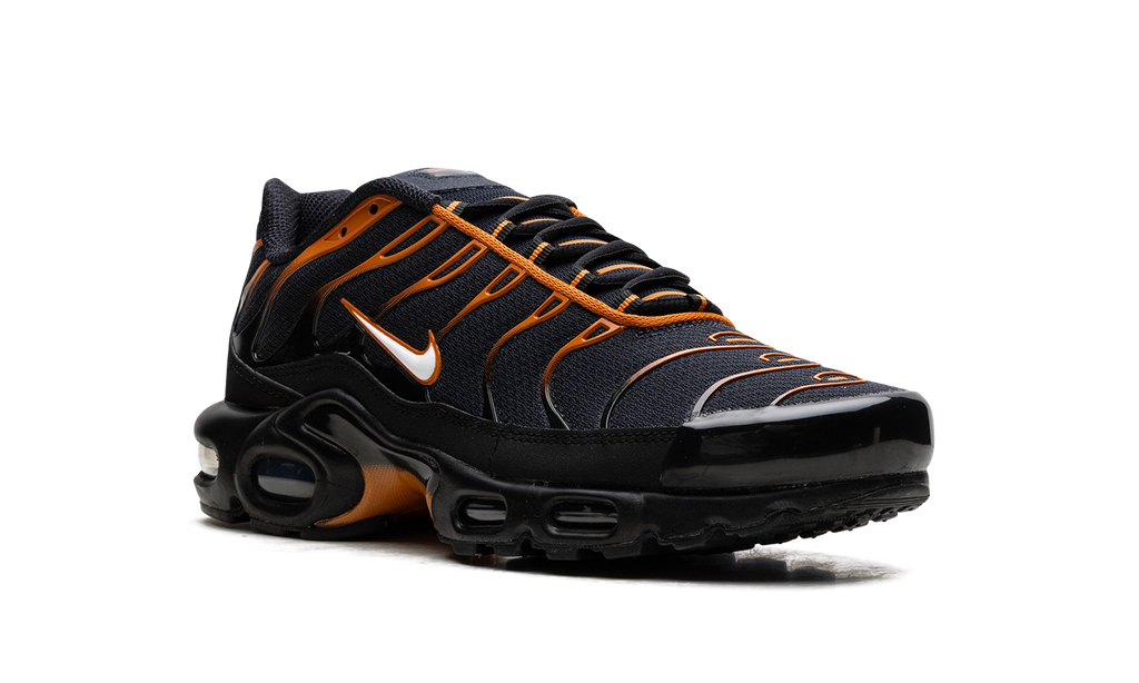 Nike Air Max Plus OBSIDIAN MONARCH FN6949 400