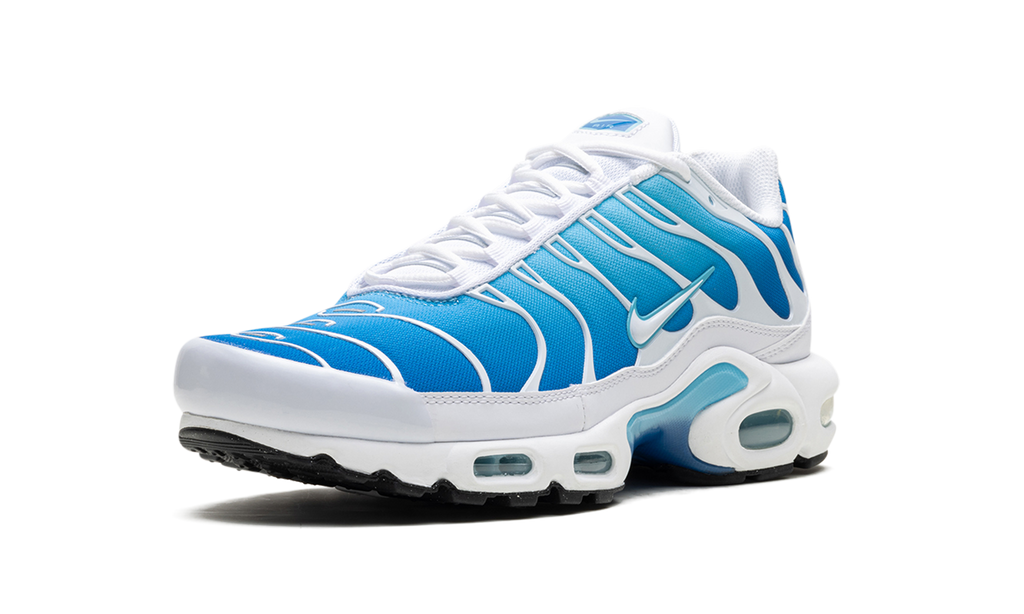 Nike Air Max Plus Blue Gaze 852630 411