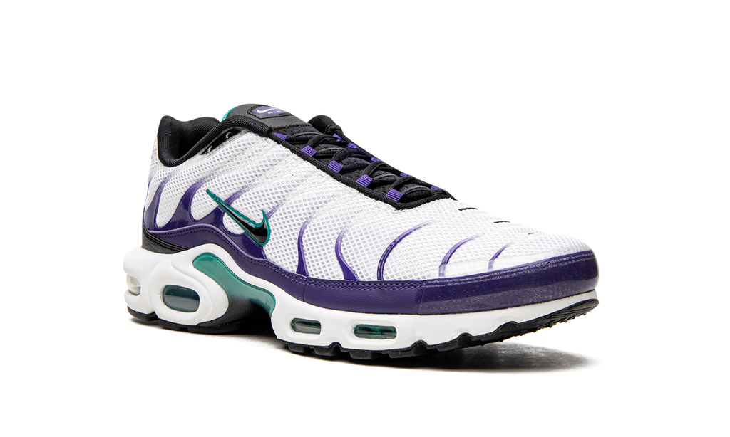 Nike Air Max Plus Grape DM0032 100