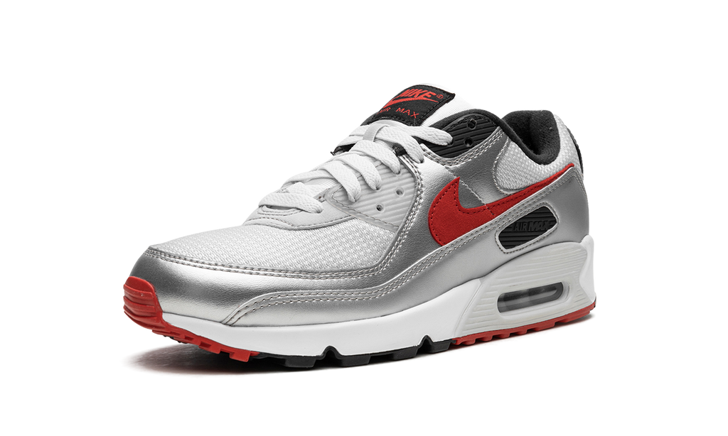 Nike Air Max 90 Icons - Silver Bullet DX4233 001