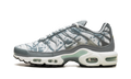 Nike Air Max Plus Waterway FV0394 300